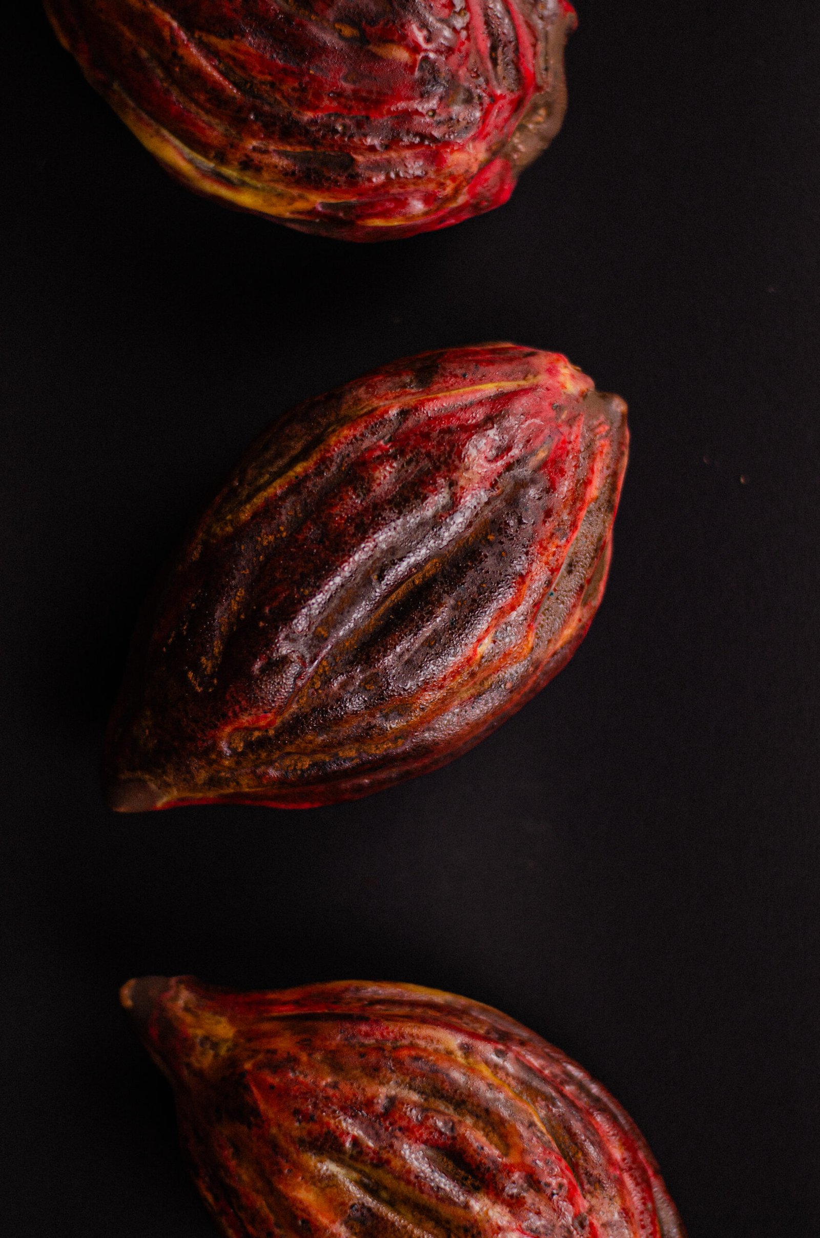 Cacao Bean - Image 3