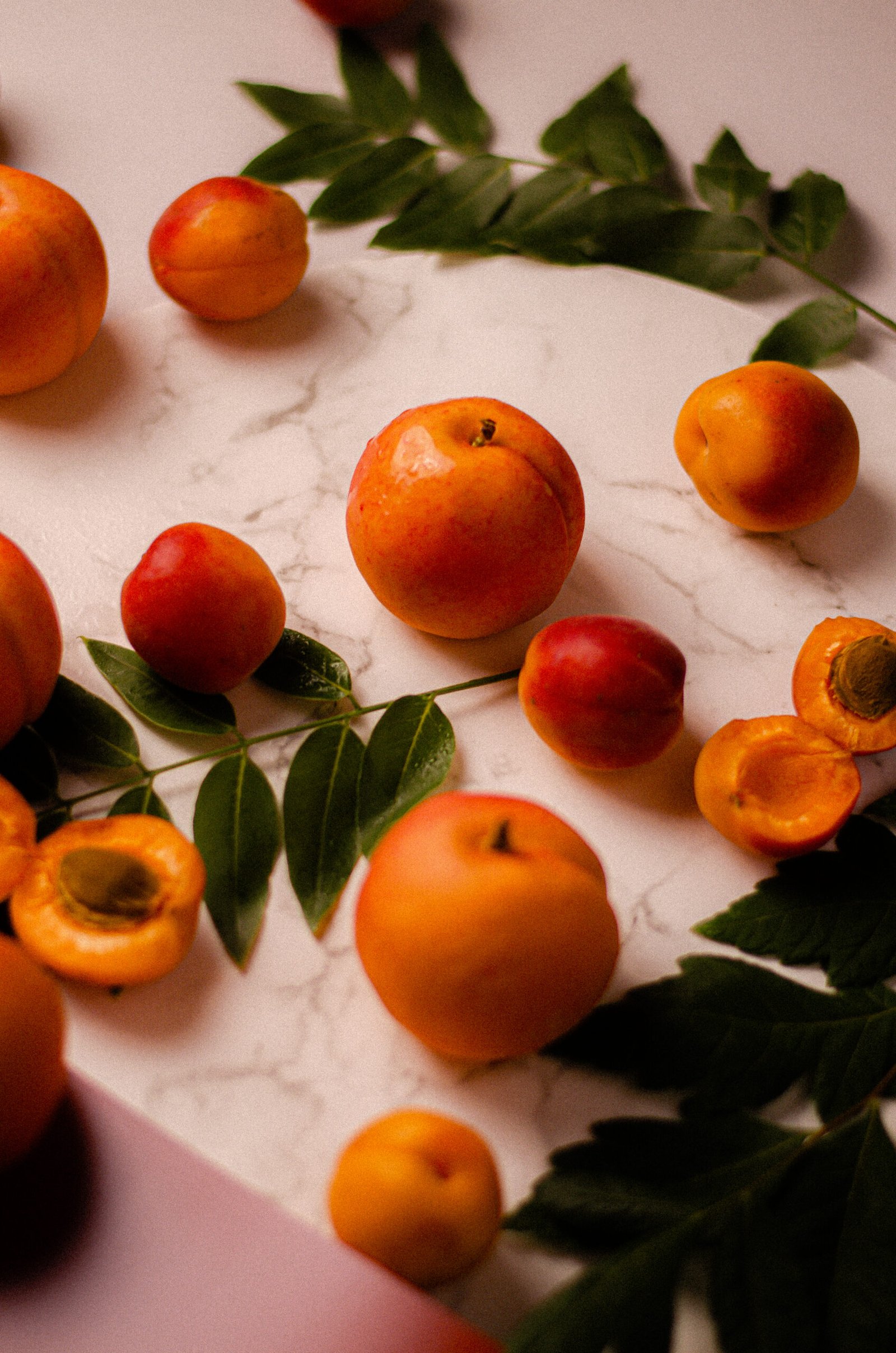 Apricot - Image 2